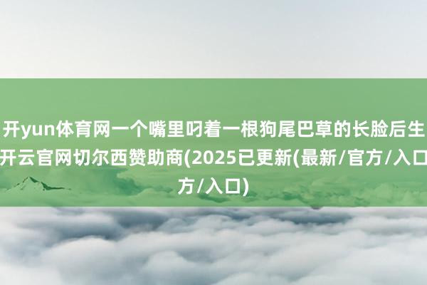 开yun体育网一个嘴里叼着一根狗尾巴草的长脸后生-开云官网切尔西赞助商(2025已更新(最新/官方/入口)