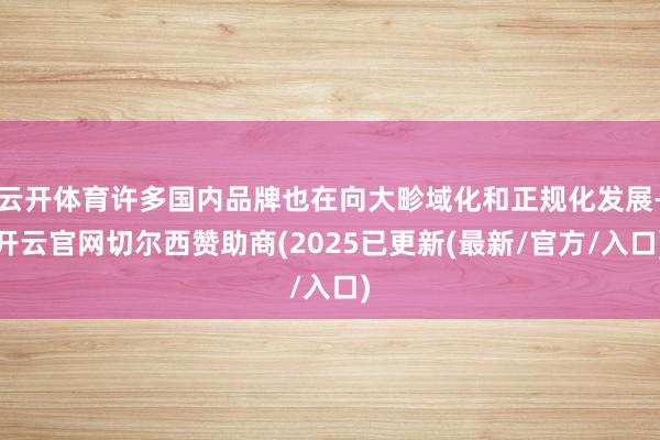 云开体育许多国内品牌也在向大畛域化和正规化发展-开云官网切尔西赞助商(2025已更新(最新/官方/入口)