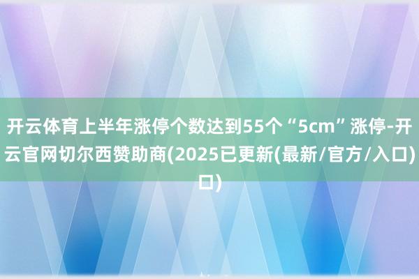 开云体育上半年涨停个数达到55个“5cm”涨停-开云官网切尔西赞助商(2025已更新(最新/官方/入口)