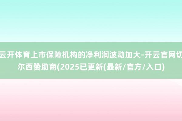 云开体育上市保障机构的净利润波动加大-开云官网切尔西赞助商(2025已更新(最新/官方/入口)