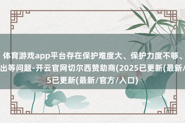 体育游戏app平台存在保护难度大、保护力度不够、藏用矛盾特出等问题-开云官网切尔西赞助商(2025已更新(最新/官方/入口)